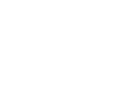e-Devlet Logo